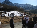 bild (49)